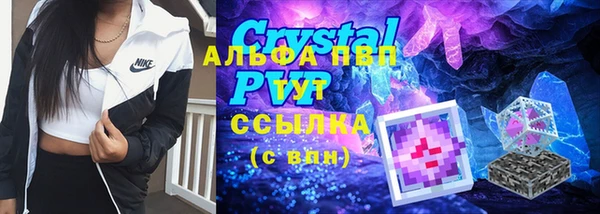 сатива Елизово